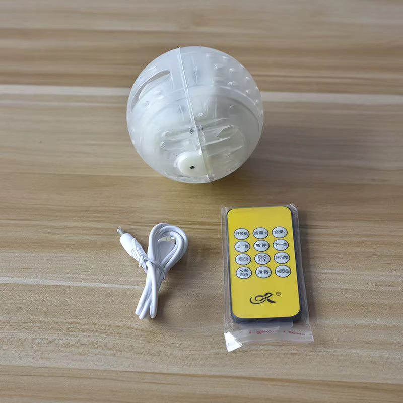 Peluchín Saltarín – Juguete Que Salta y divierte a los Niños