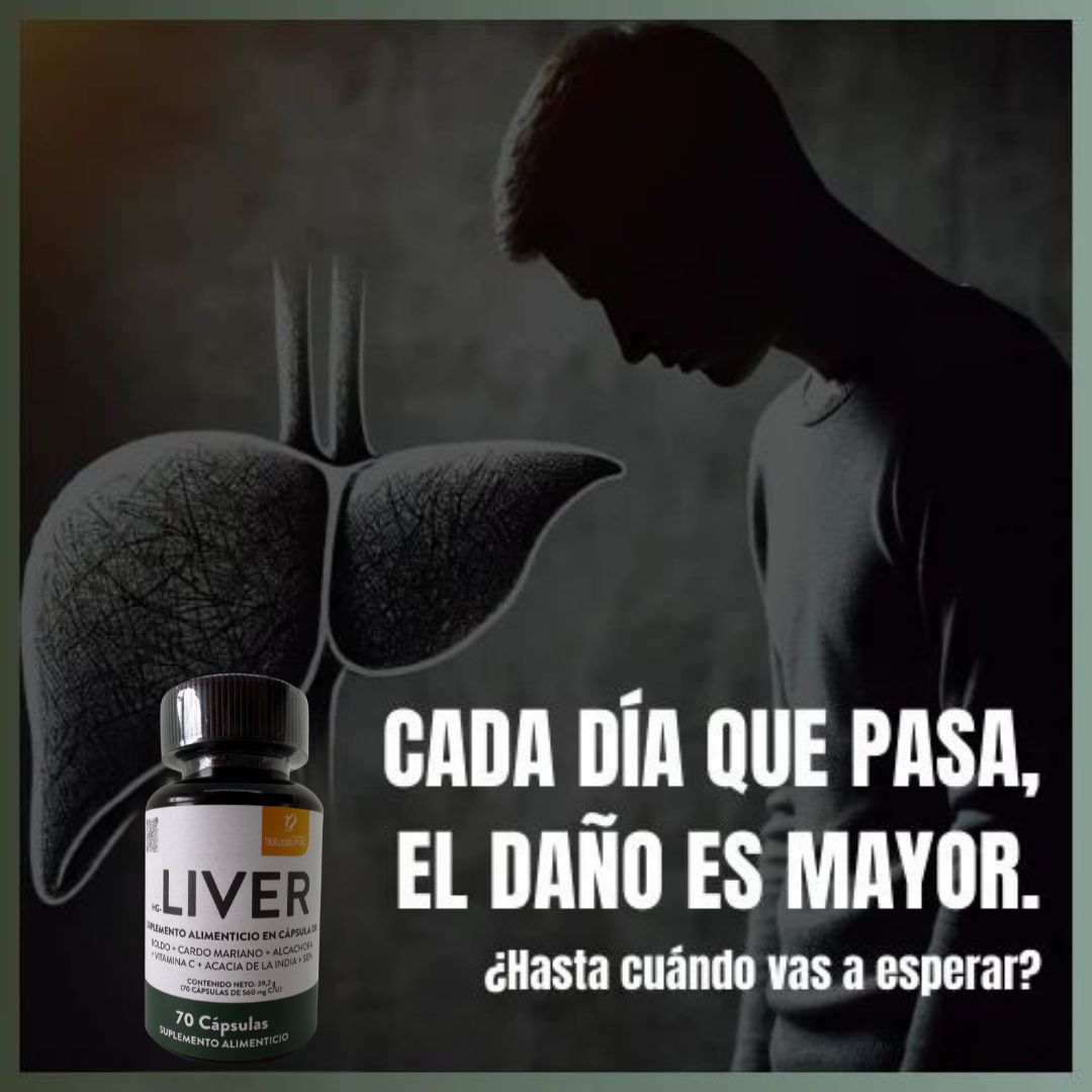 Encabezado